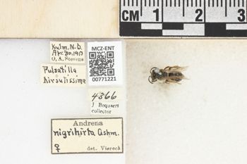 Media type: image;   Entomology 771221 Aspect: Labels